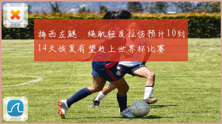 梅西左腿腘绳肌轻度拉伤预计10到14天恢复有望赶上世界杯比赛