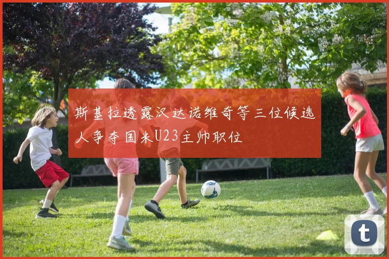 斯基拉透露汉达诺维奇等三位候选人争夺国米U23主帅职位